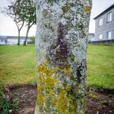 Doublestiles Cross, at the junction of Duchy Avenue and Henver Road