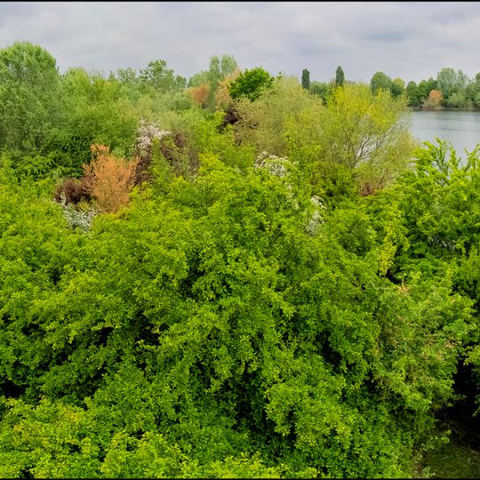 Area archeologica di San Lorenzo