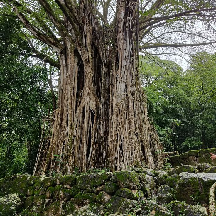 Sito Archeologico di Hatiheu