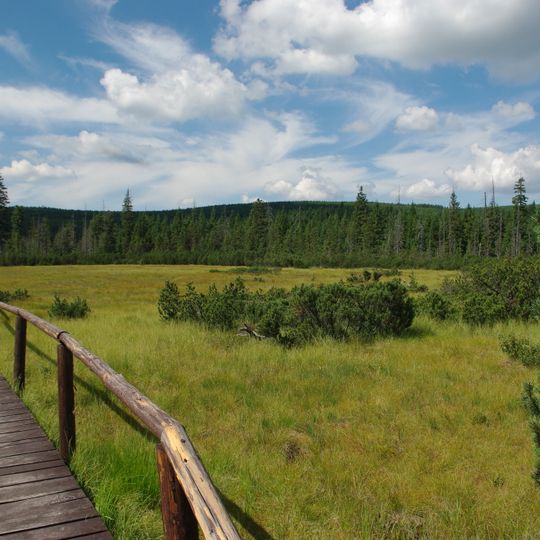 FFH-Gebiet Rašeliniště Jizerky