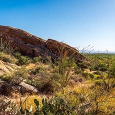 Park Narodowy Saguaro