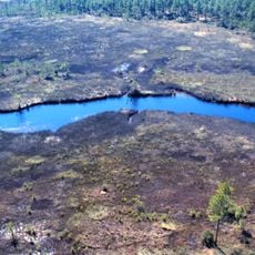 Grand Bay National Wildlife Refuge