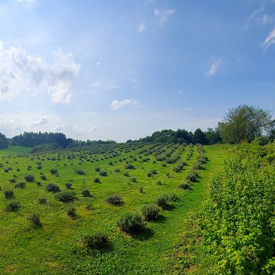 Lawendowe Muzeum Żywe im. Jacka Olędzkiego