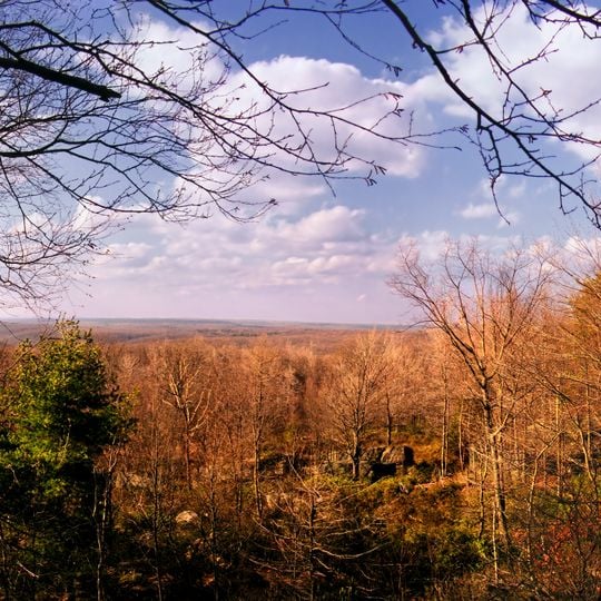 Clear Creek State Forest