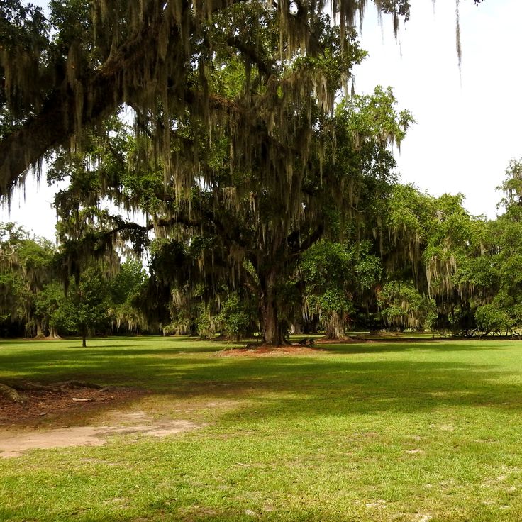 Fontainbleu State Park