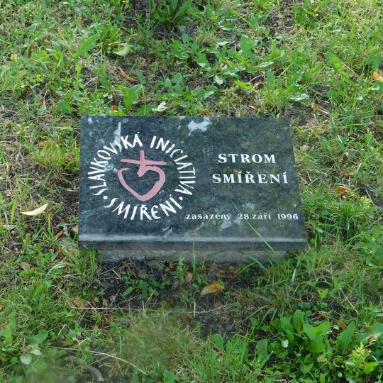 Strom smíření ve Slavkově u Brna