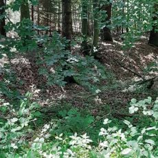 Ringwallanlage Buchberg