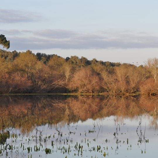 Boquilobo Bog Natural Reserve