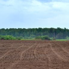 Bobly nature reserve