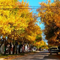 Dipartimento di General Obligado