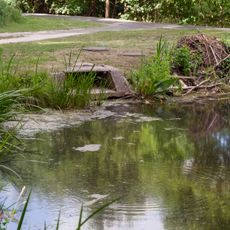 Ausleitung in Nürnberg Gibitzenhof