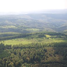 Waldreservat Schanze (nördliche Teilfläche)