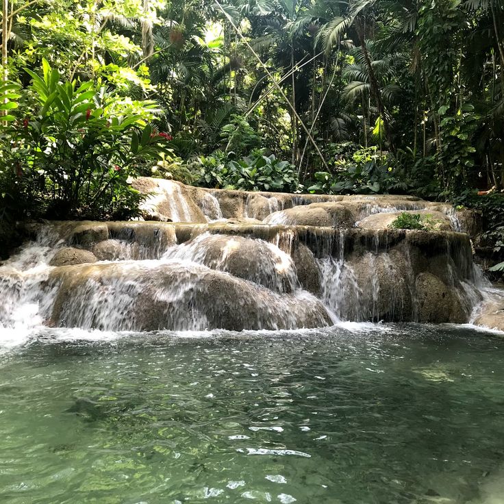 Turtle River Falls und Gardens