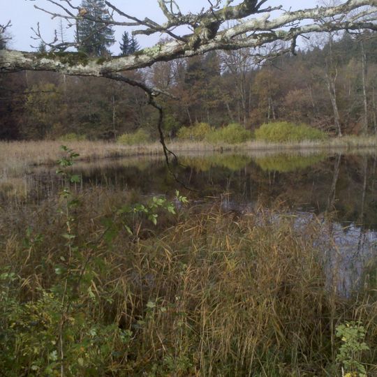 Eiszerfallslandschaft Buchsee