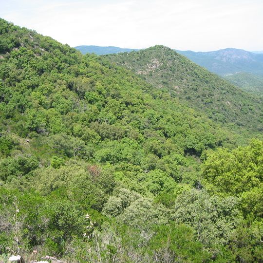 Massif des Maures