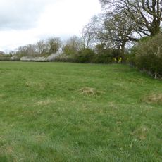 Hardwick Lodge Meadow