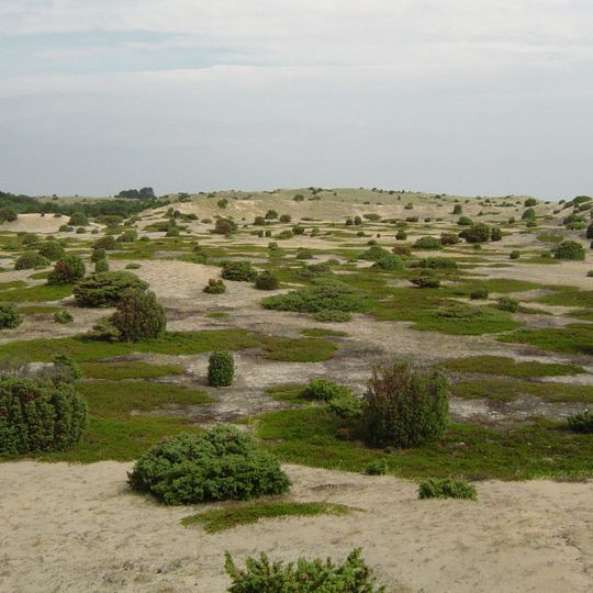 Ørkenen