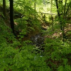 Illingen - Bamsterwald