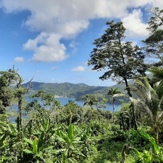 Main Ridge Forest Reserve