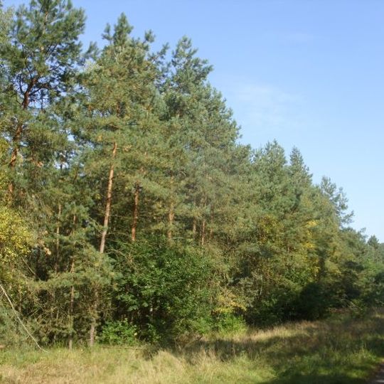 Bunkenmoor