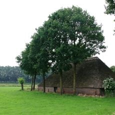 Schuur bij Domeinenstraat 20, Mill