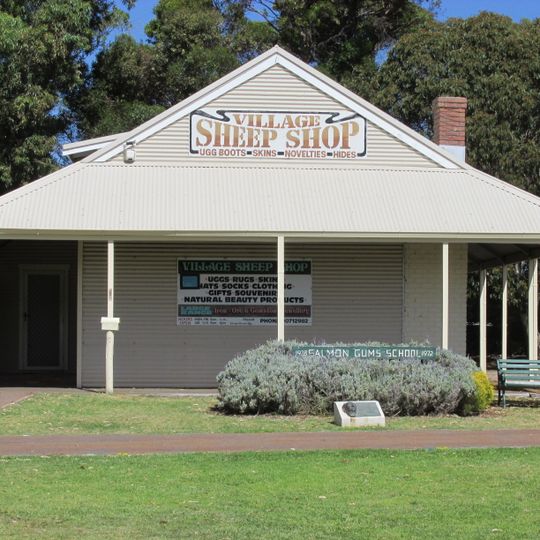 Salmon Gums