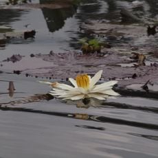 Lake El Oconal
