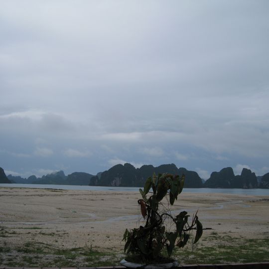 District de Vân Đồn