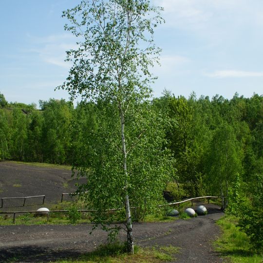 Wurmtal südlich Herzogenrath, einschließlich Meisbach, Würselen