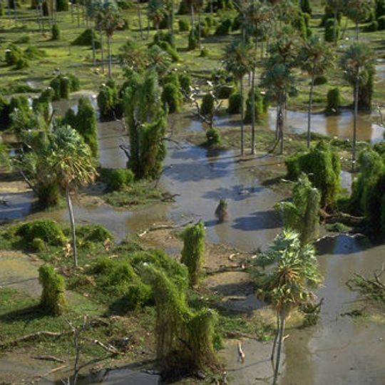 Parque Nacional Río Pilcomayo