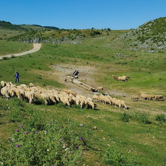 Žabren