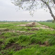 Aßbütteler und Herrschaftliches Moor