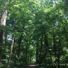 Englischer Garten (Neuburg an der Donau)