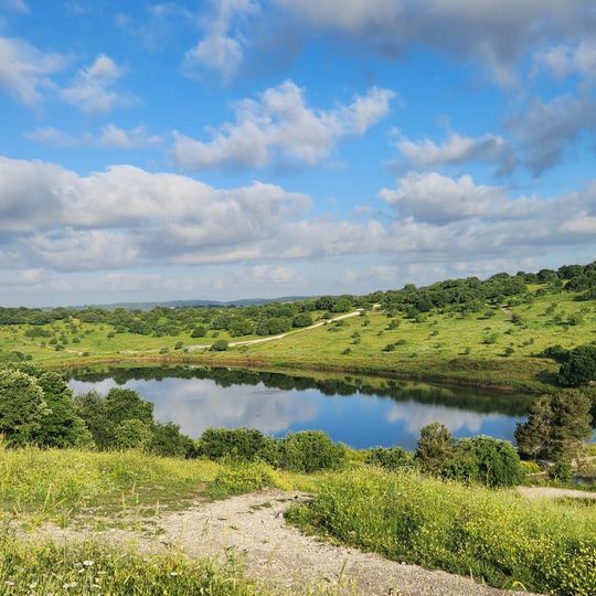 תצפית למאגר