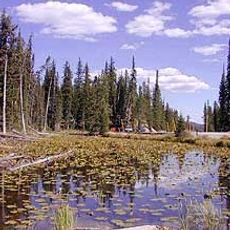 Isa Lake