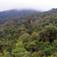 Parco nazionale di Amboró