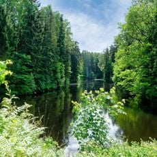 North Lower Novoshaleyny pond in Pavlovsk park
