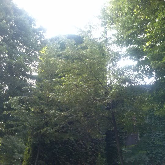 Castello di Podenzano