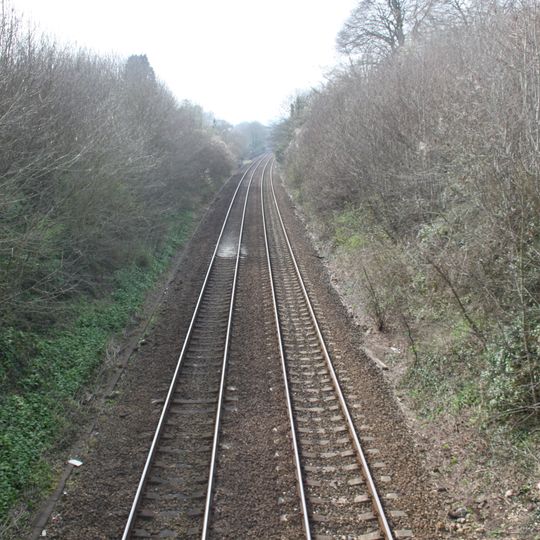Godminster Lane Quarry and Railway Cutting