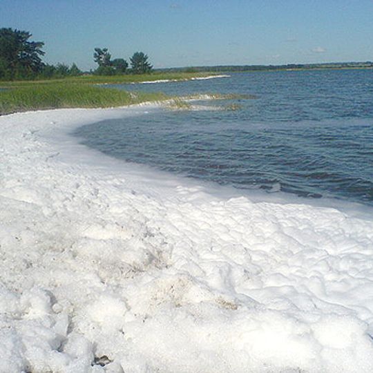 Novichikhinsky District