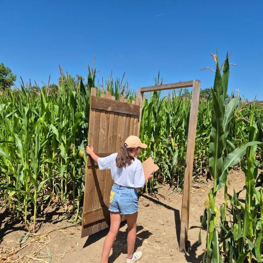 Pop Corn Labyrinthe BORDEAUX- Parempuyre