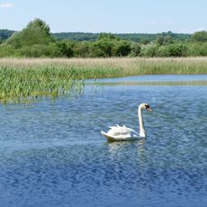 Naturschutzgebiet Kelzer Teiche