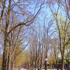 Paseo de Fray Francisco de Vitoria