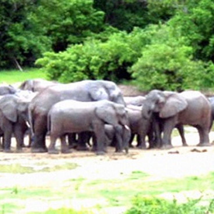 Kamuku National Park