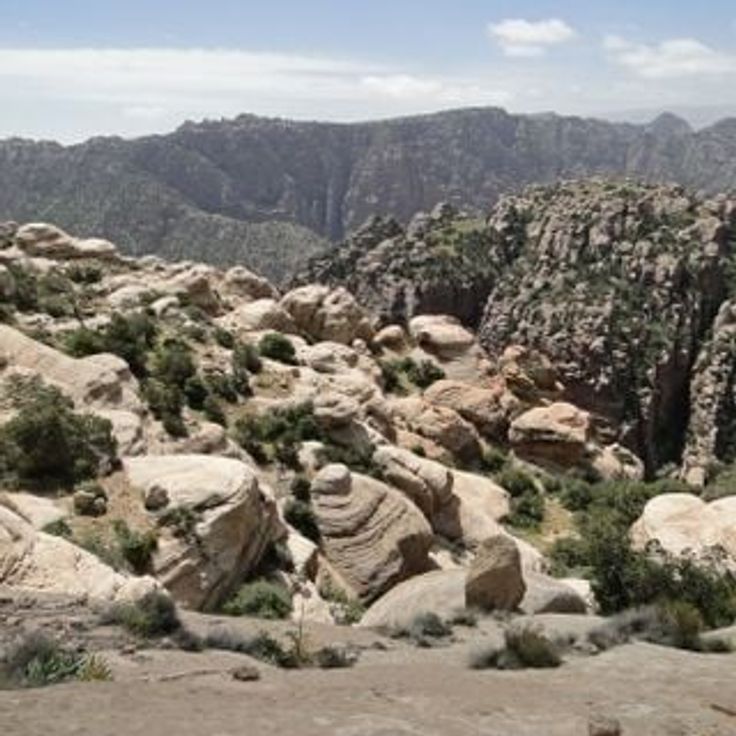 Dana Biosphere Reserve