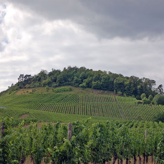 Eselsberg