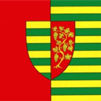 distretto di Ștefan Vodă