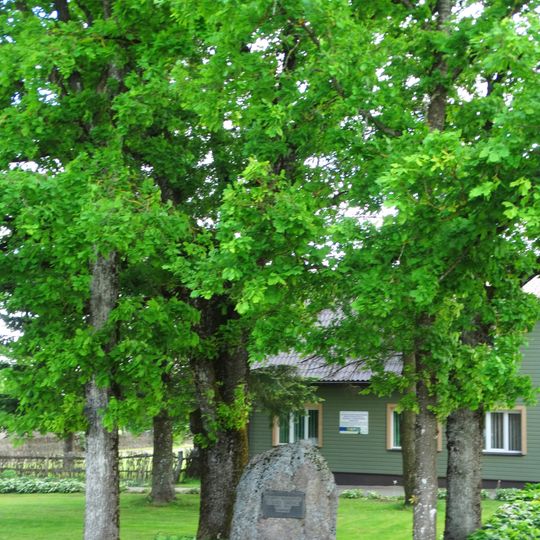 Vytogala Independence oaks