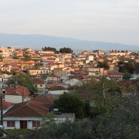 Nea Zichni Municipality