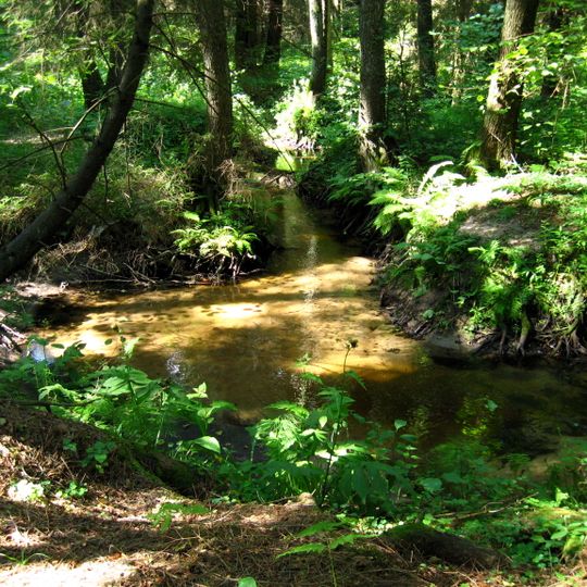 Nature reserve Kulikówka